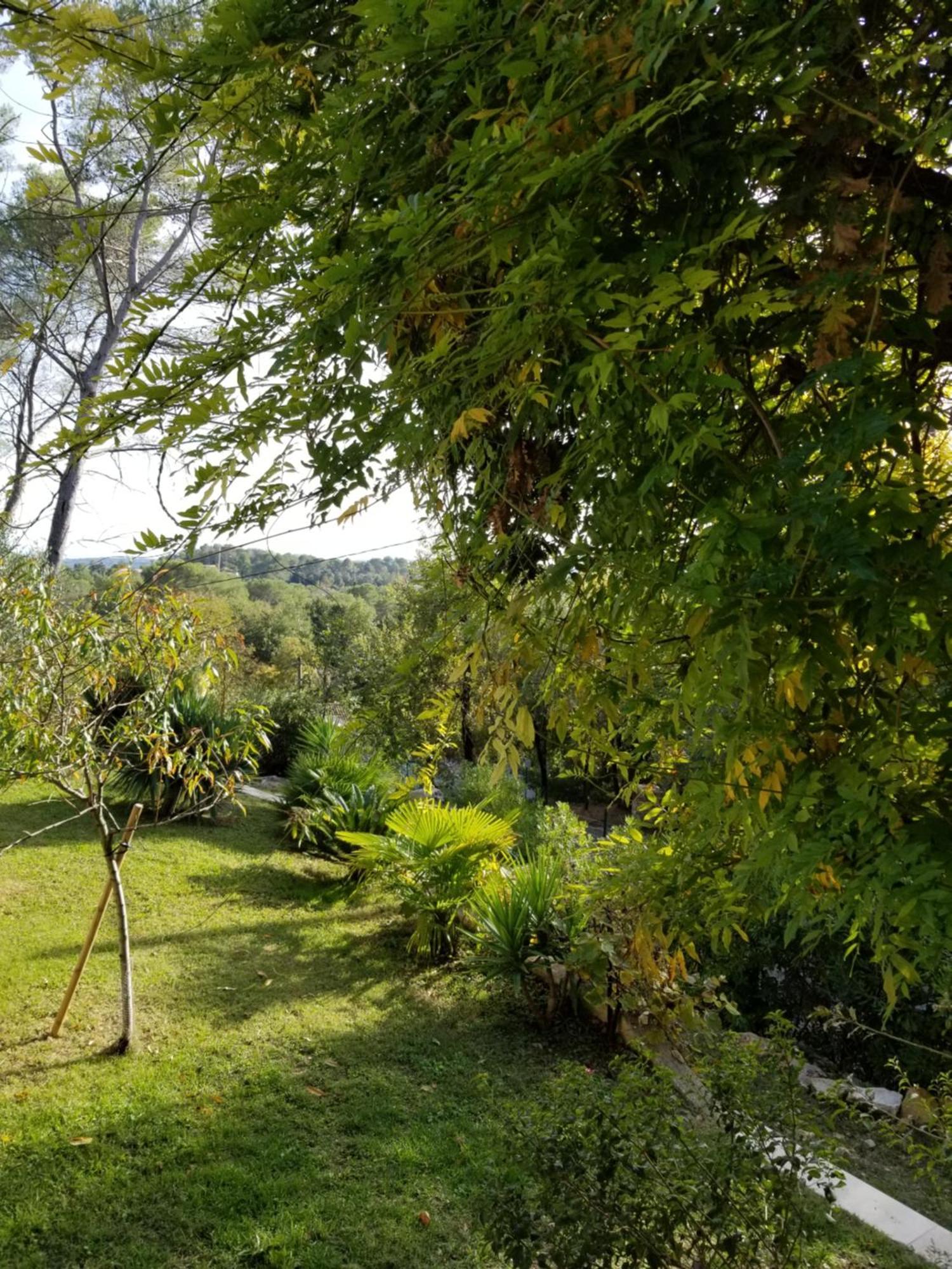 O Tilia D'Azur Bed and Breakfast Roquefort-les-Pins Εξωτερικό φωτογραφία